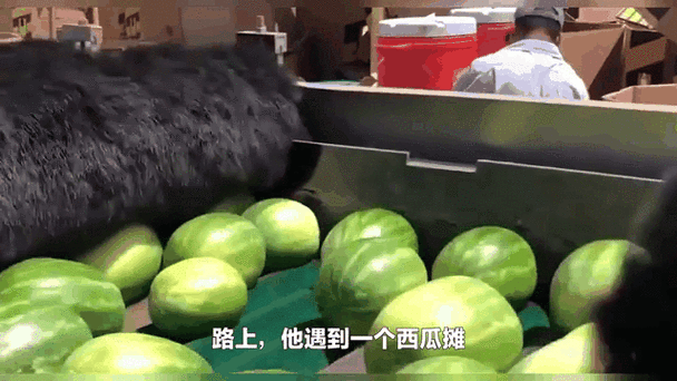 商家互砸西瓜丢荔枝,